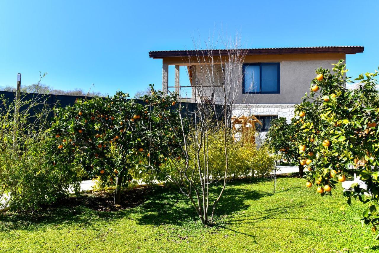 Volans Suites Villas Fethiye Esterno foto